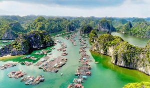 Du Lịch Hải Phòng 